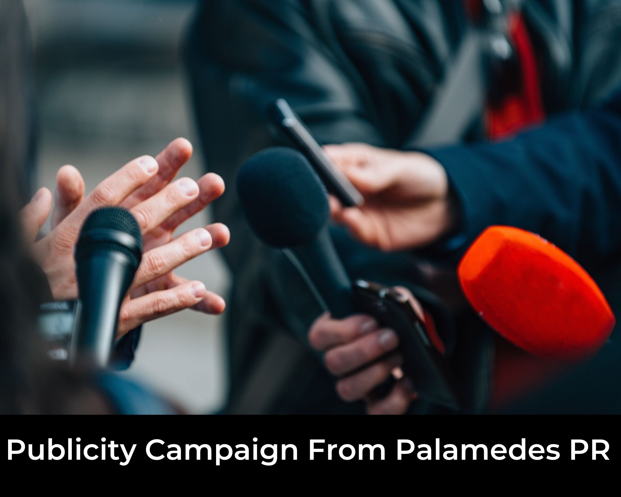 Win a Palamedes PR Book Publicity Campaign for eBook authors