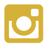 Instagram Icon - Page Turner Awards