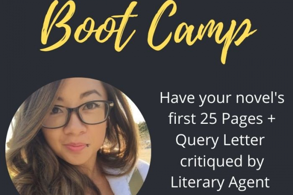 25 Pages + Query Letter Literary Agent Boot Camp